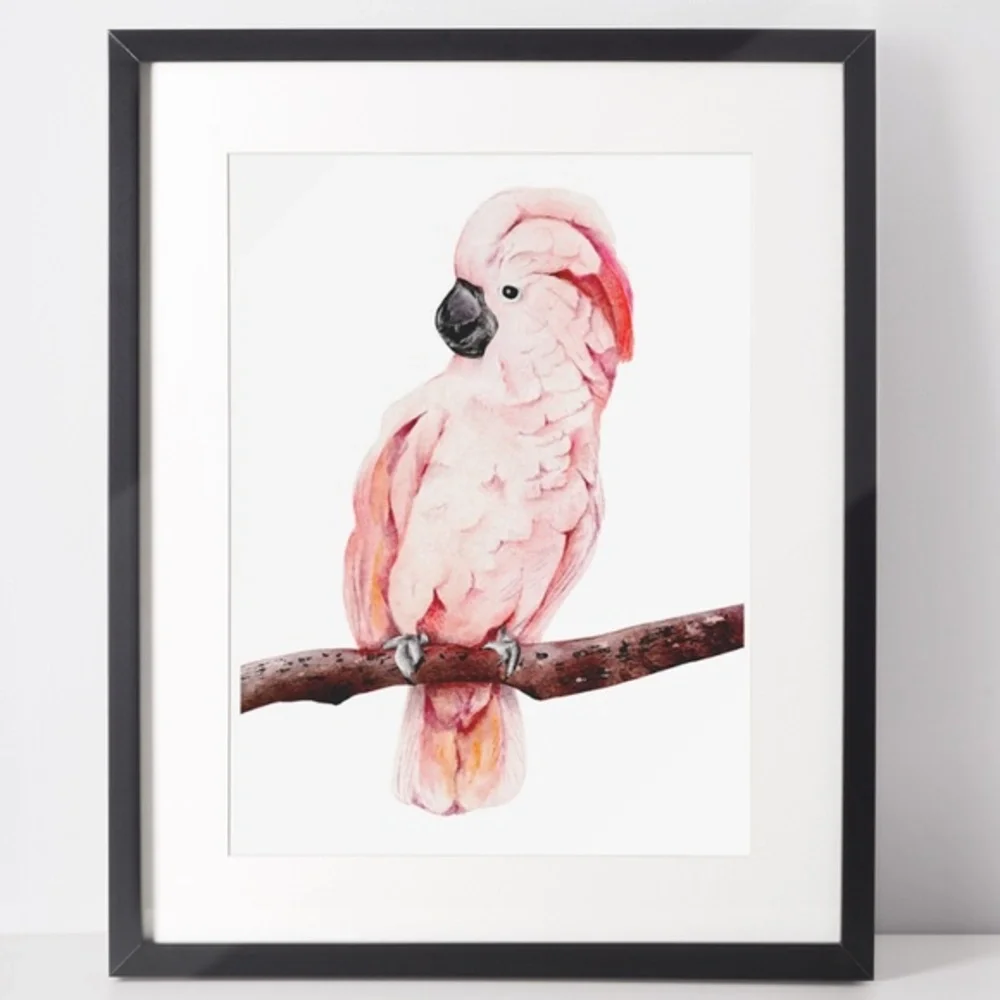 Wall Art Tropical Bird Portrait Print Unframed - Picture 1 of 15